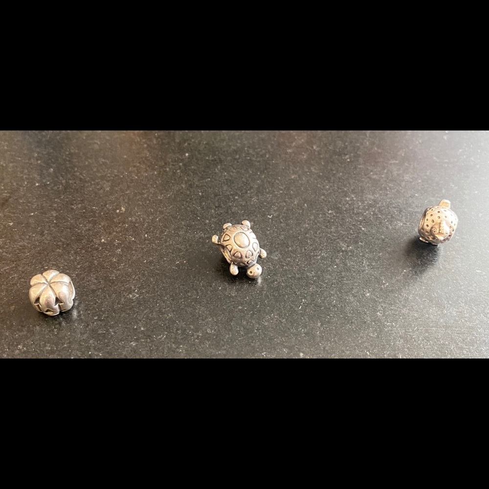 Turtle Retired Pandora Charm